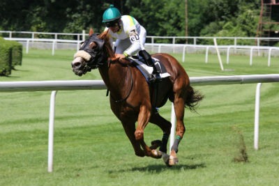Apostar a un caballo colocado en una carrera handicap