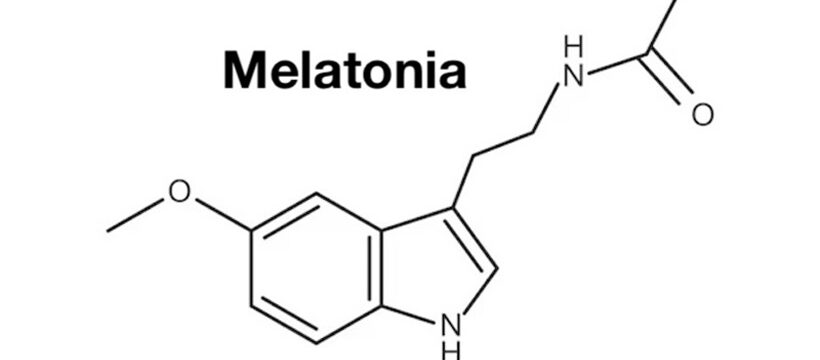 La Melatonina Engorda